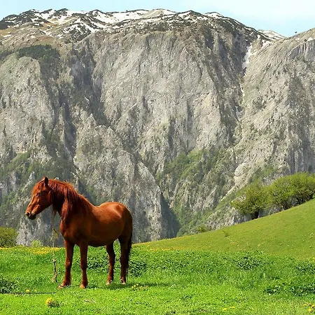 Jezerca - Choose Balkans Гостевой дом *